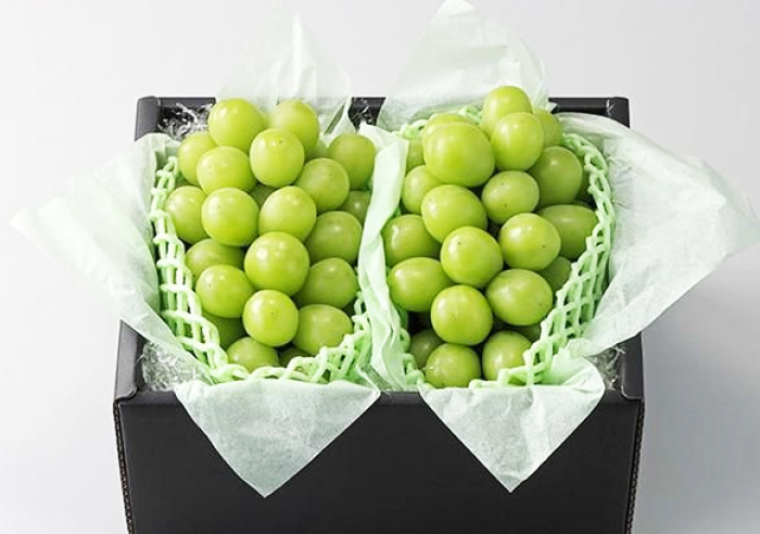 全国どこでも送料無料！